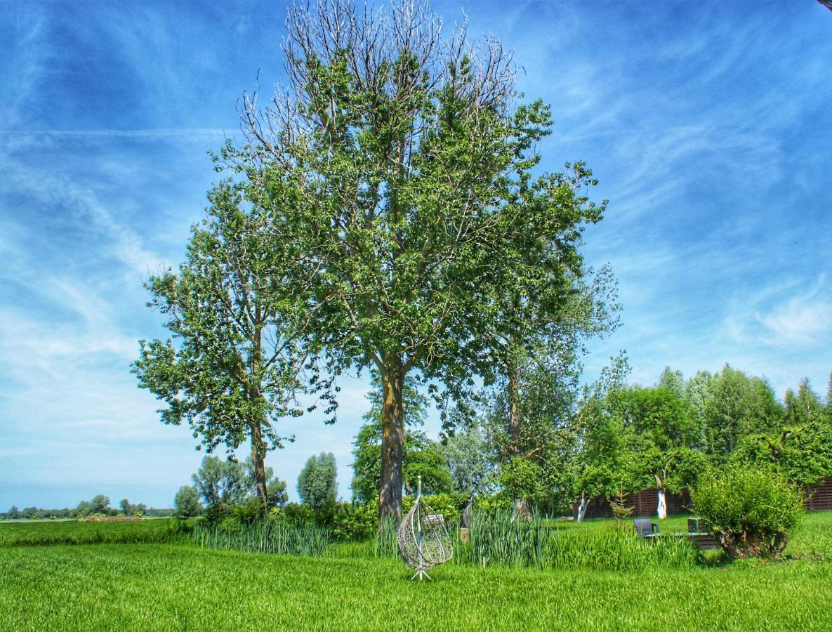 "Dolina" Na Zulawach Bed & Breakfast Nowe Dolno Exterior foto